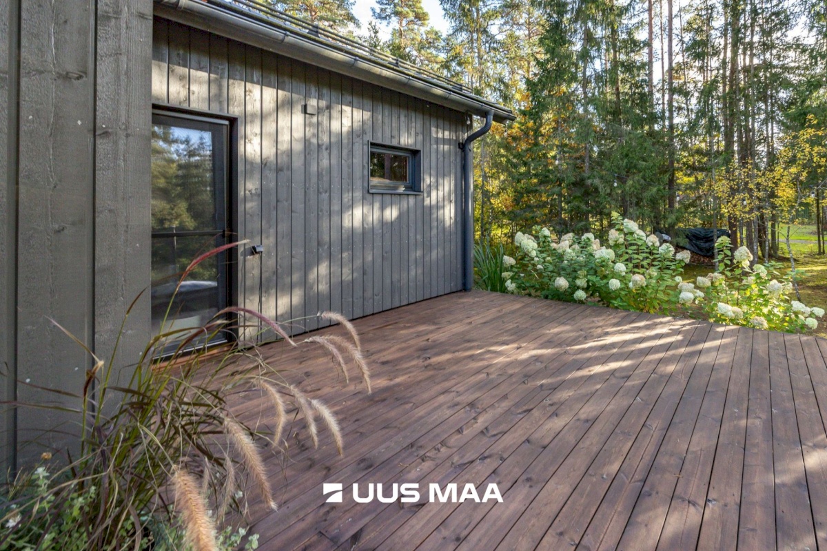 Lääne-Harju vald, Tuulna küla, Metsanurga