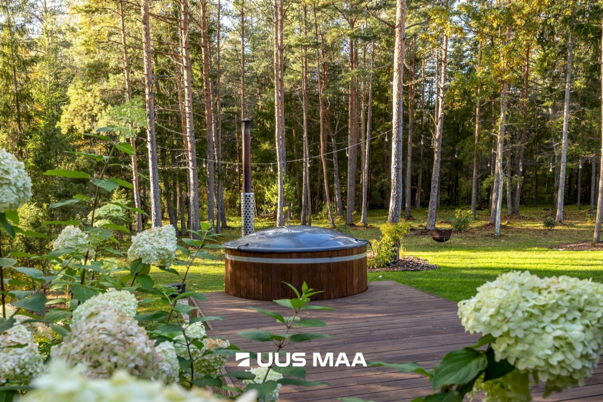 Lääne-Harju vald, Tuulna küla, Metsanurga