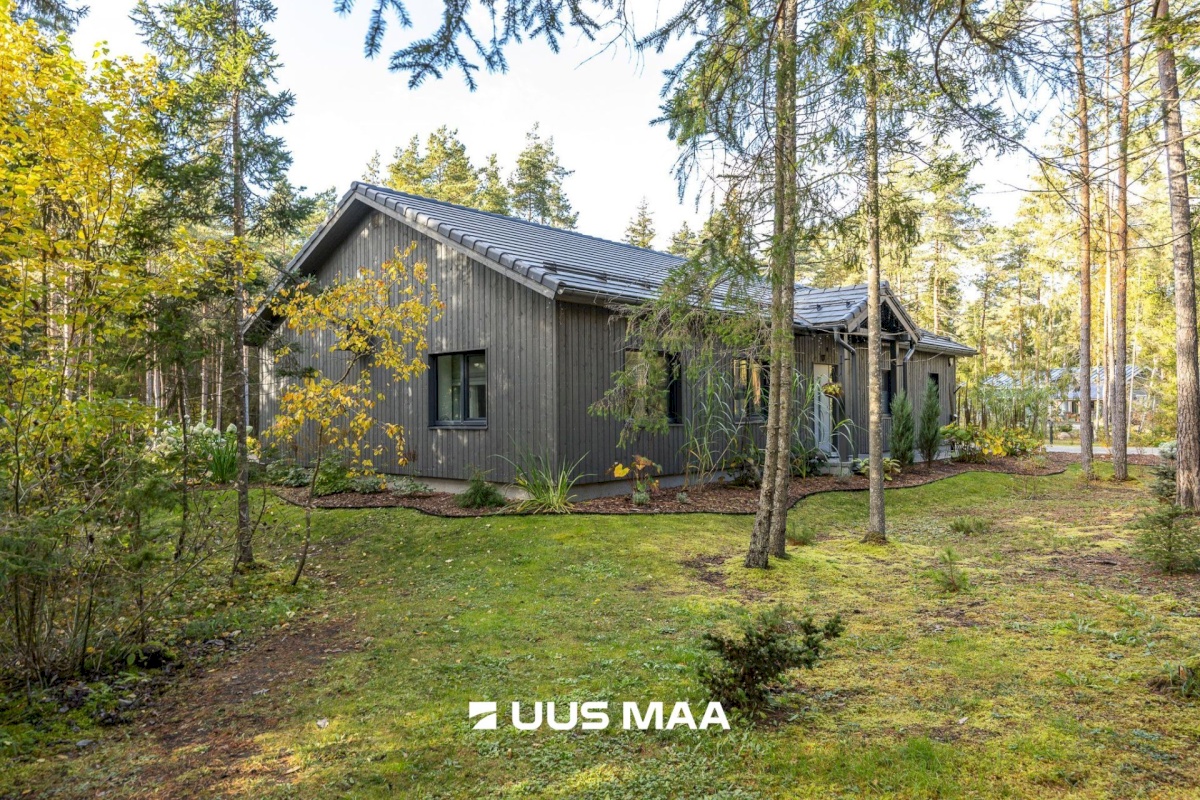 Lääne-Harju vald, Tuulna küla, Metsanurga