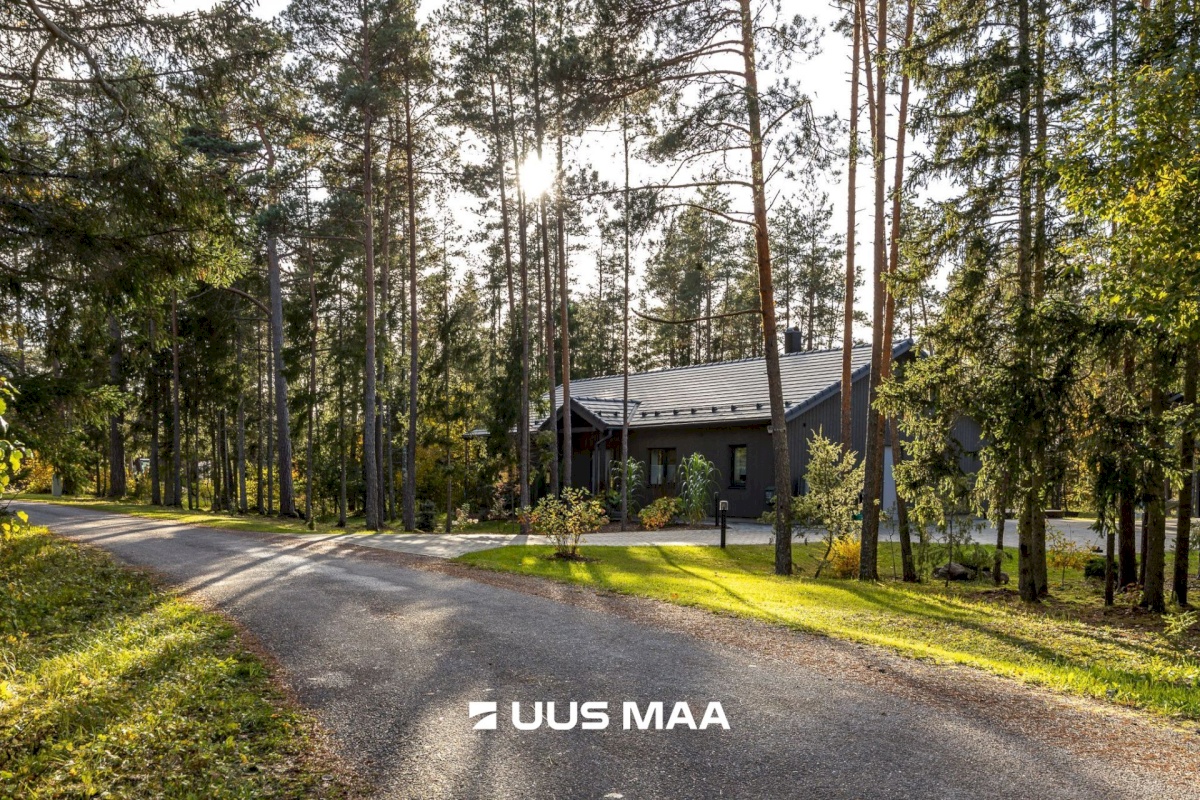 Lääne-Harju vald, Tuulna küla, Metsanurga