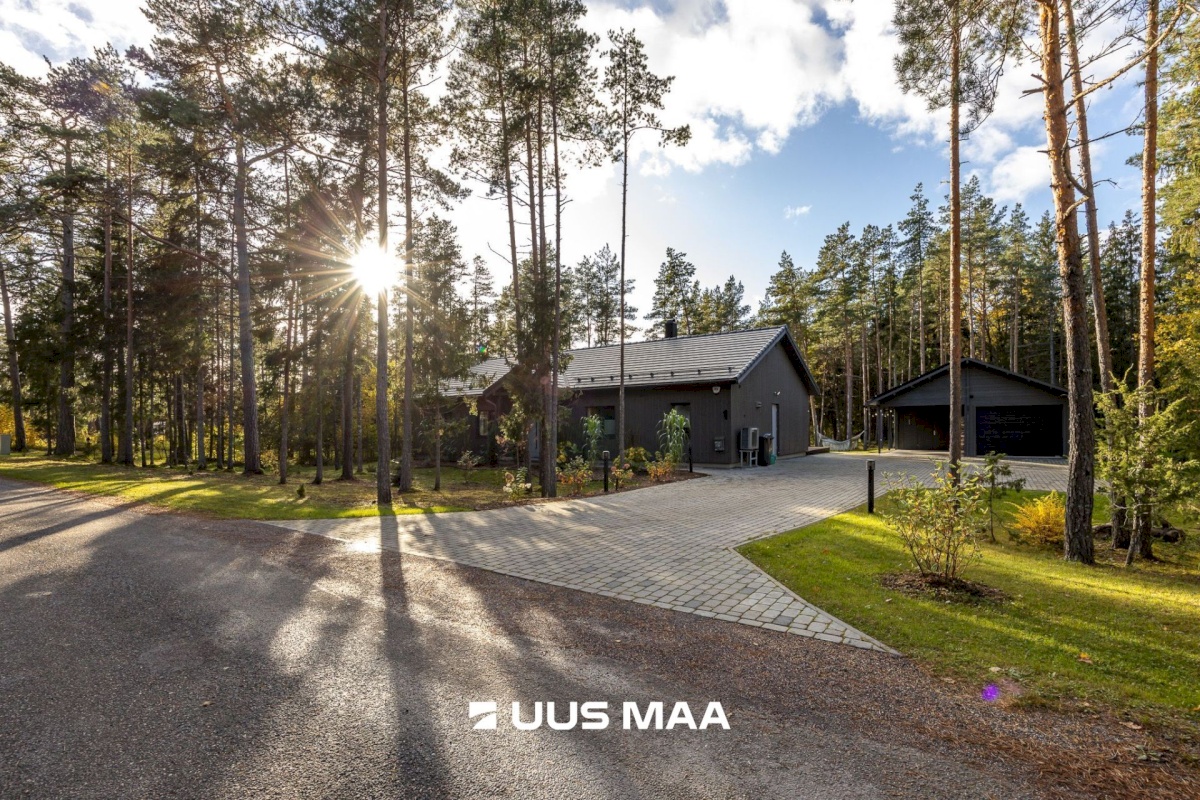 Lääne-Harju vald, Tuulna küla, Metsanurga