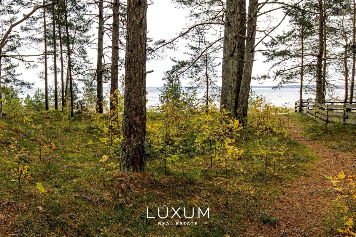 Lääne-Harju vald, Lohusalu küla, Lohusalu tee 141