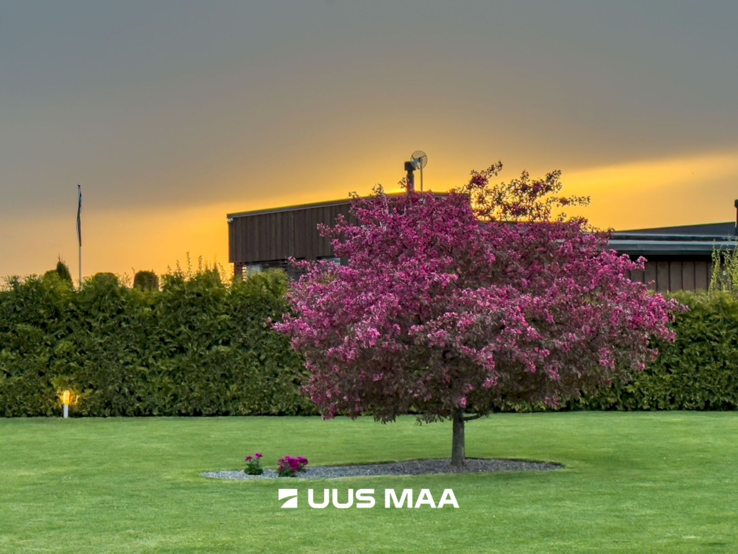 Kiili vald, Vaela küla, Lageda tee 15