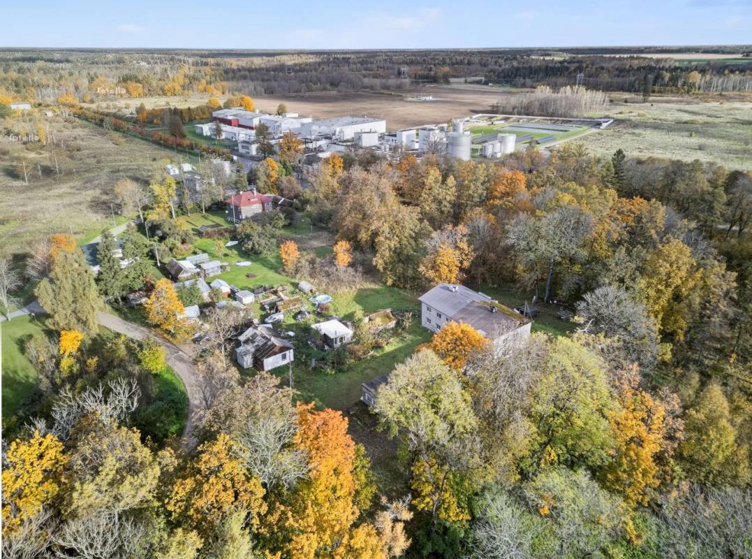 Kohila vald, Salutaguse küla, Saarepuu