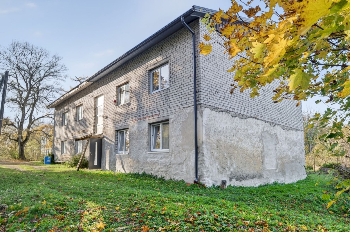 Kohila vald, Salutaguse küla, Saarepuu