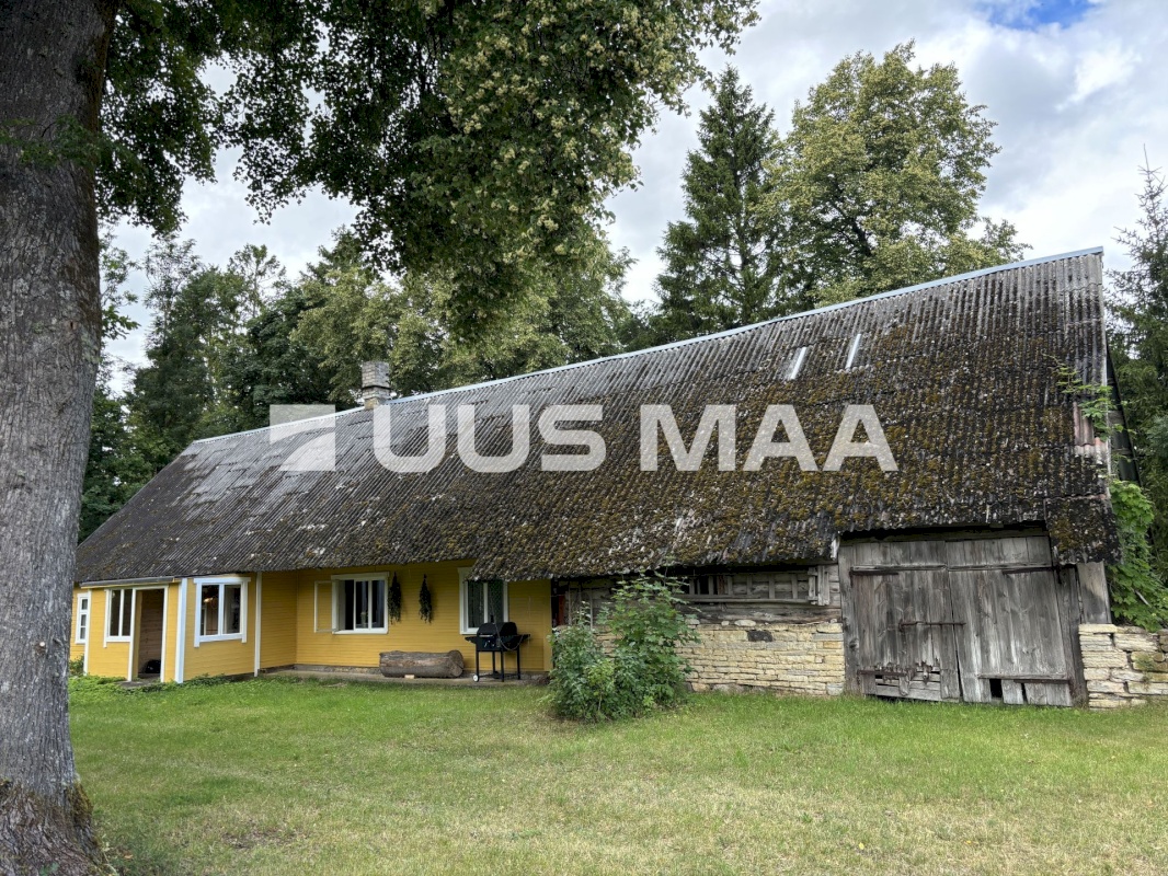 Muhu vald, Viira küla, Lauritse