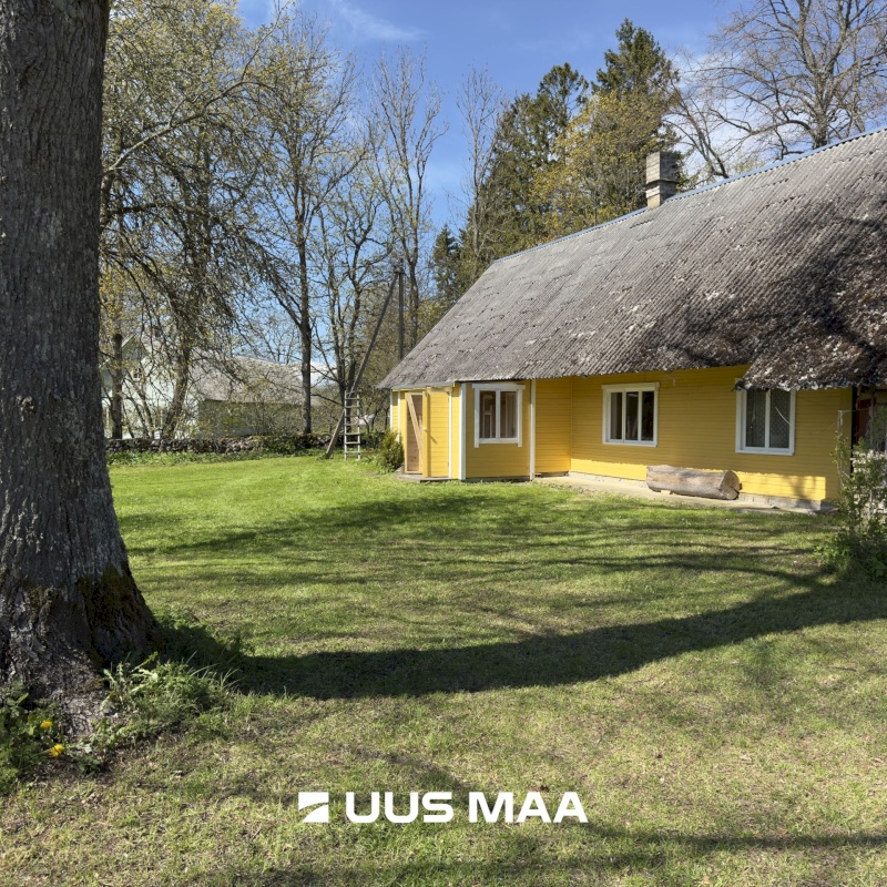 Muhu vald, Viira küla, Lauritse