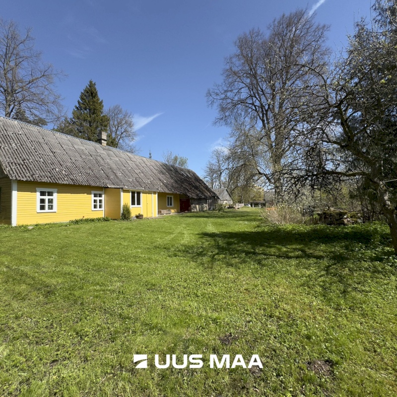 Muhu vald, Viira küla, Lauritse