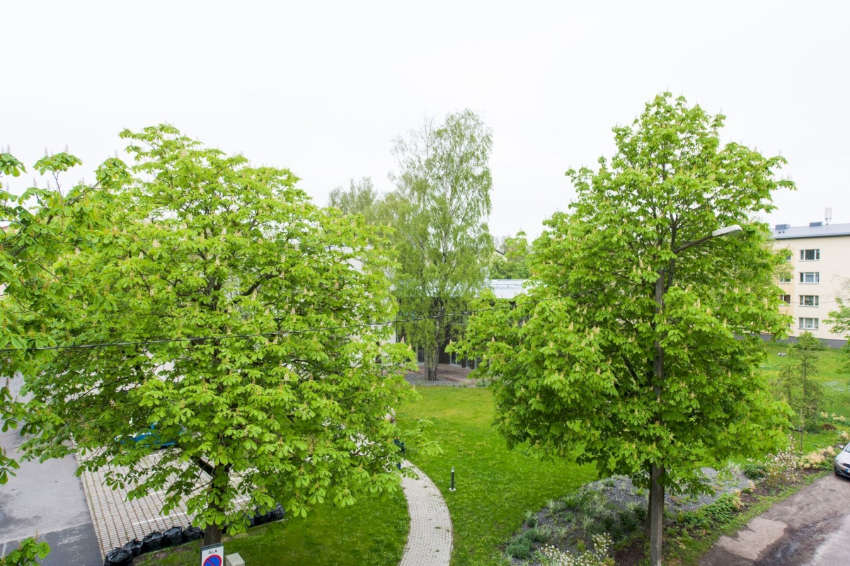Tallinn, Põhja-Tallinna linnaosa, Lõime 29