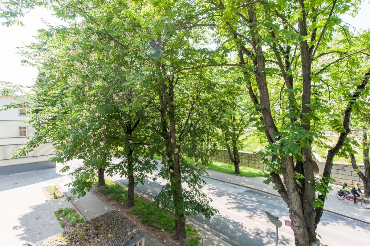 Tallinn, Põhja-Tallinna linnaosa, Tehnika tn 33