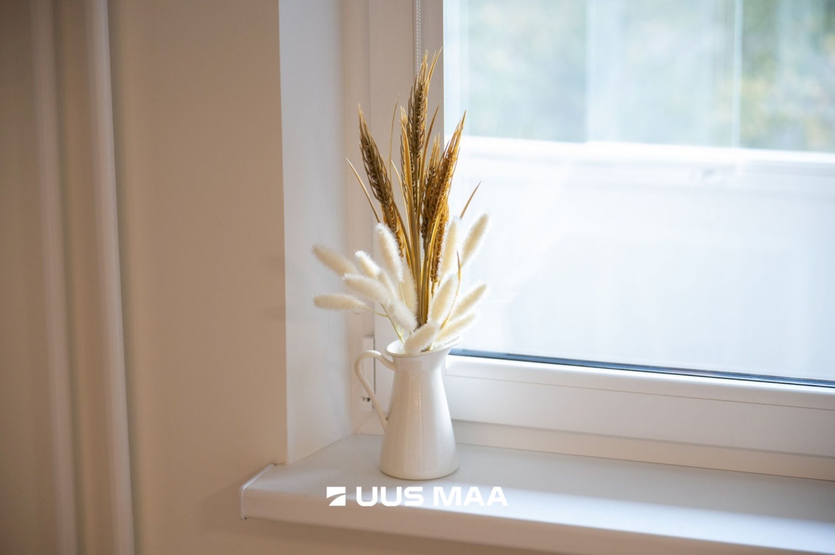 Tallinn, Kristiine linnaosa, Kirsi 3