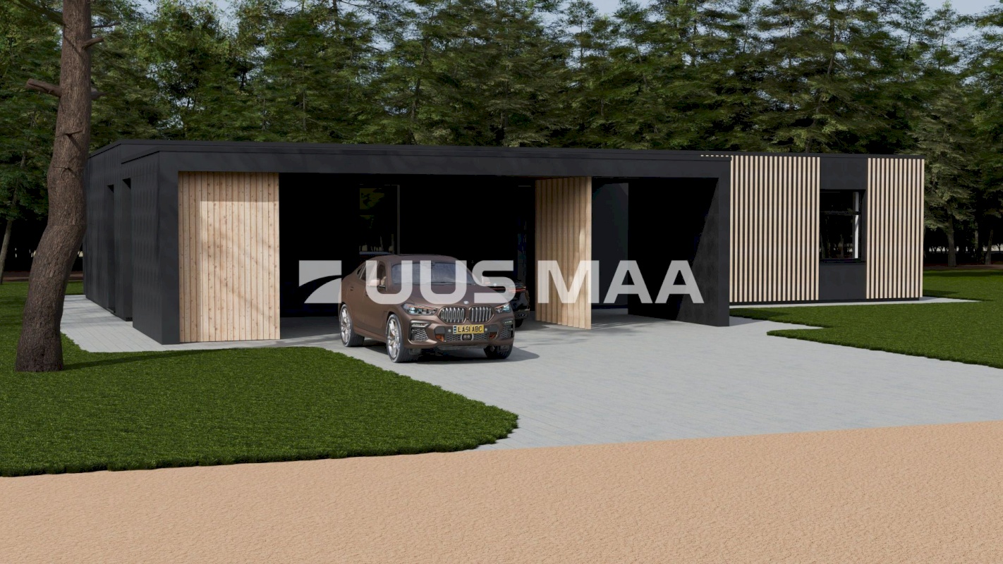 Hiiumaa vald, Kalana küla, Laine