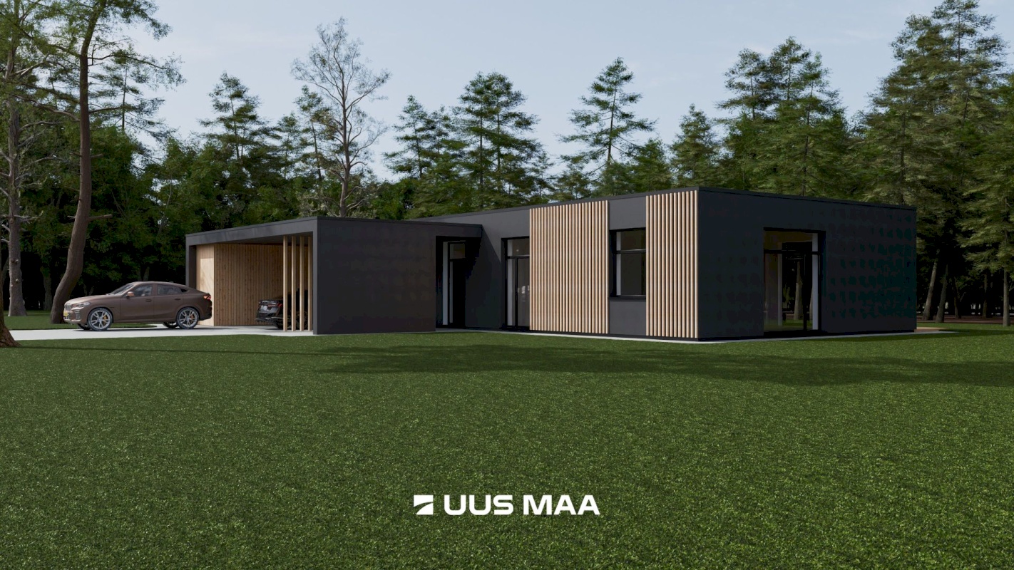 Hiiumaa vald, Kalana küla, Laine