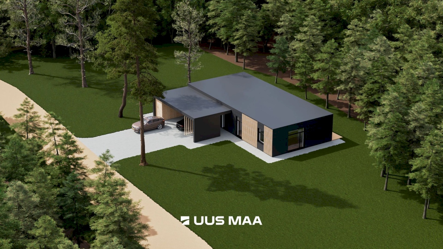 Hiiumaa vald, Kalana küla, Laine
