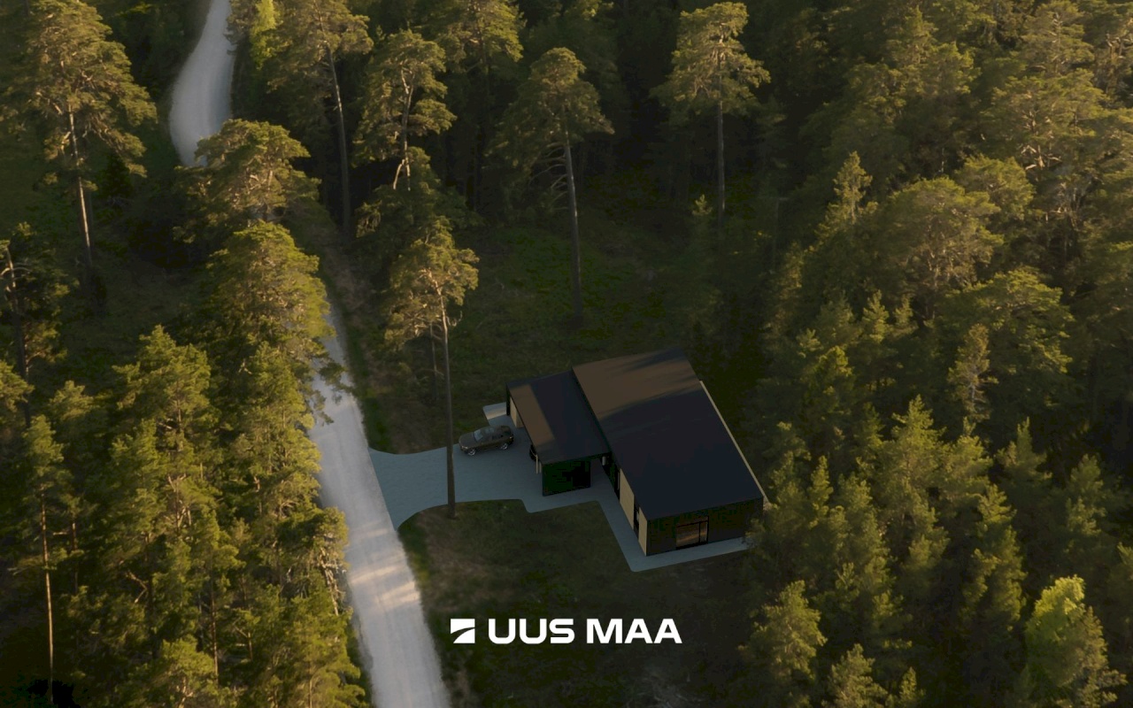 Hiiumaa vald, Kalana küla, Laine