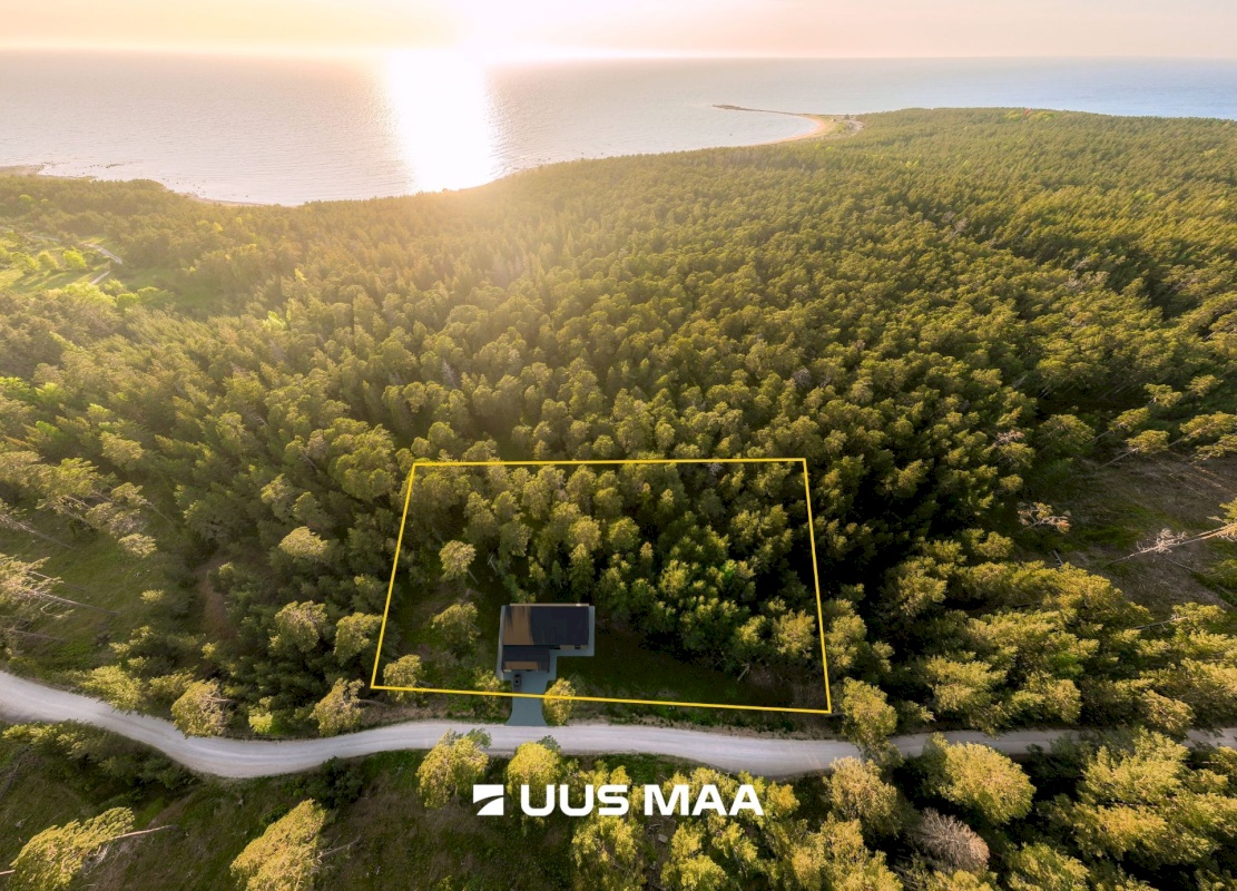 Hiiumaa vald, Kalana küla, Laine