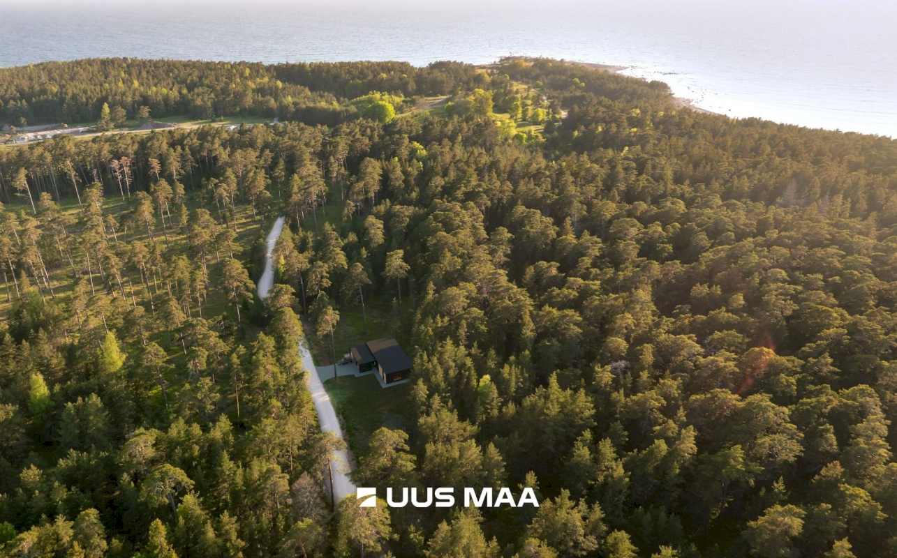 Hiiumaa vald, Kalana küla, Laine