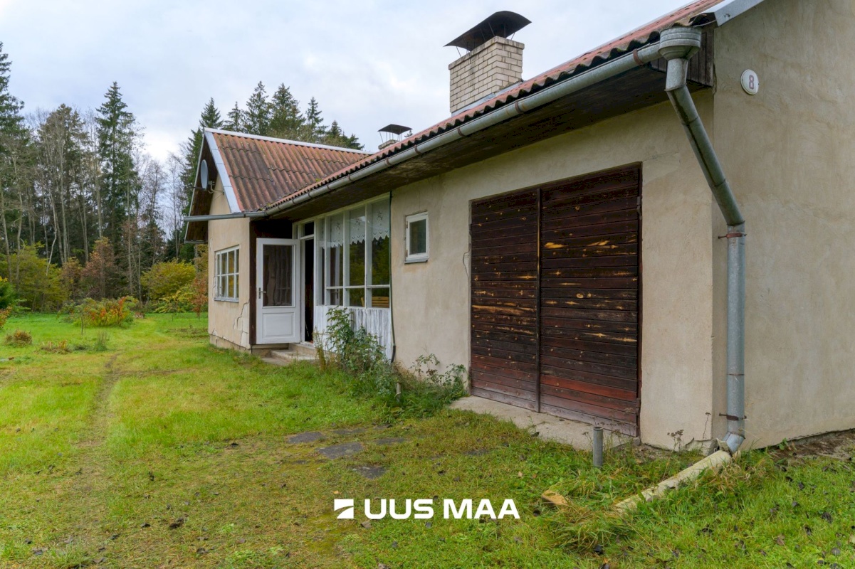 Rakvere vald, Päide küla, Metsa 8