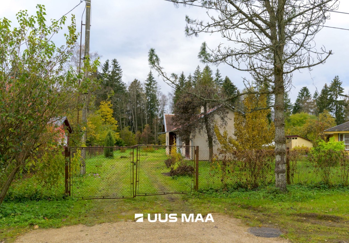 Rakvere vald, Päide küla, Metsa 8