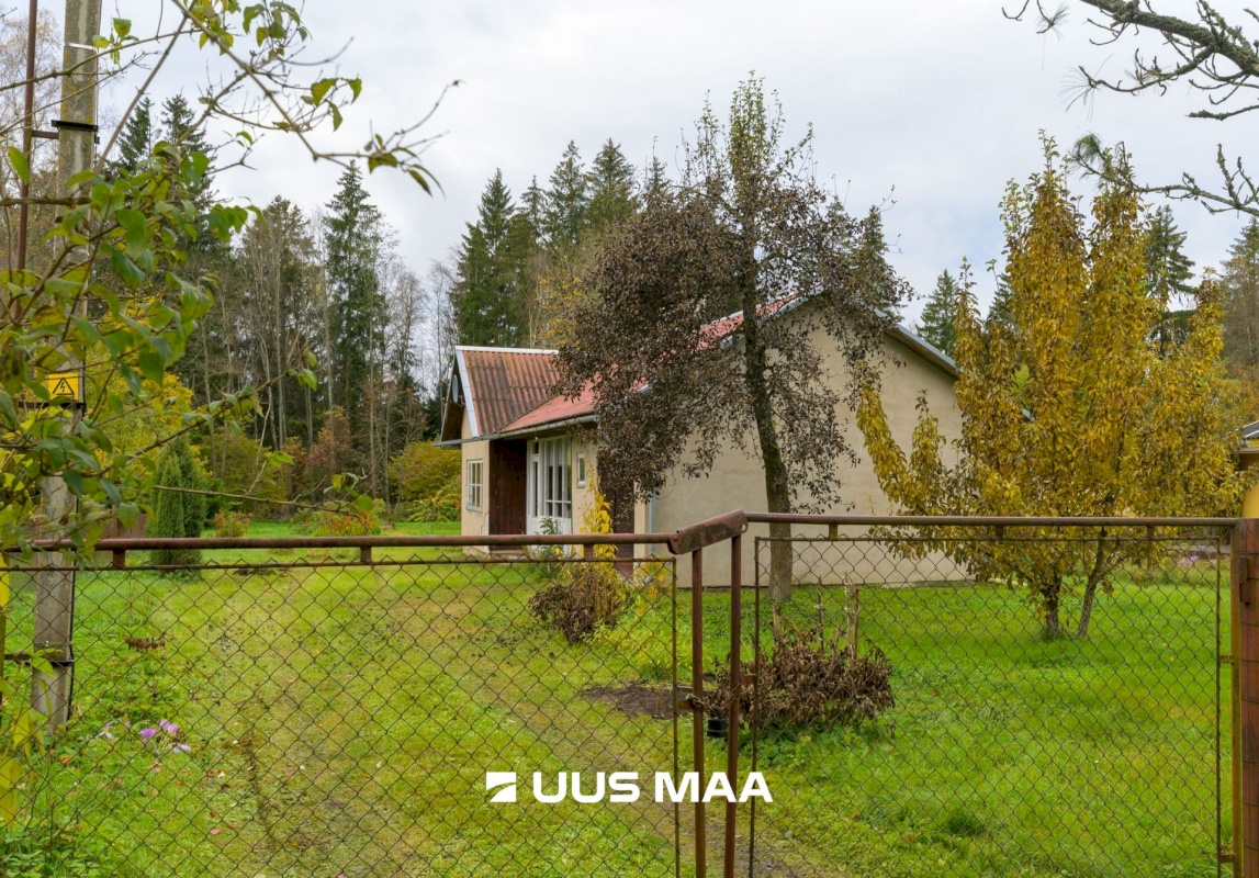Rakvere vald, Päide küla, Metsa 8