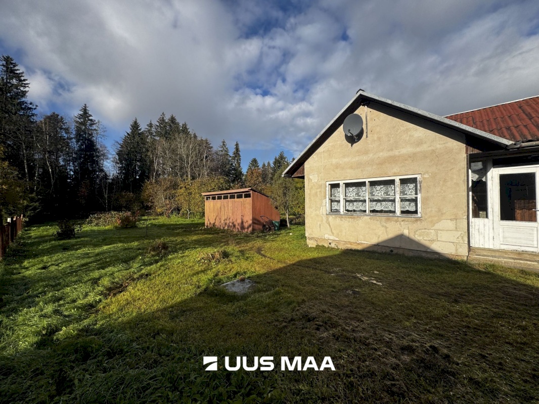 Rakvere vald, Päide küla, Metsa 8