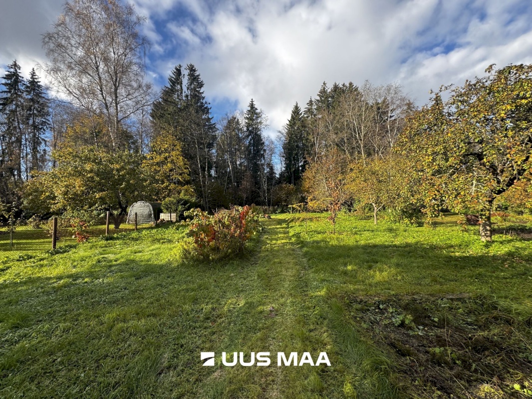 Rakvere vald, Päide küla, Metsa 8