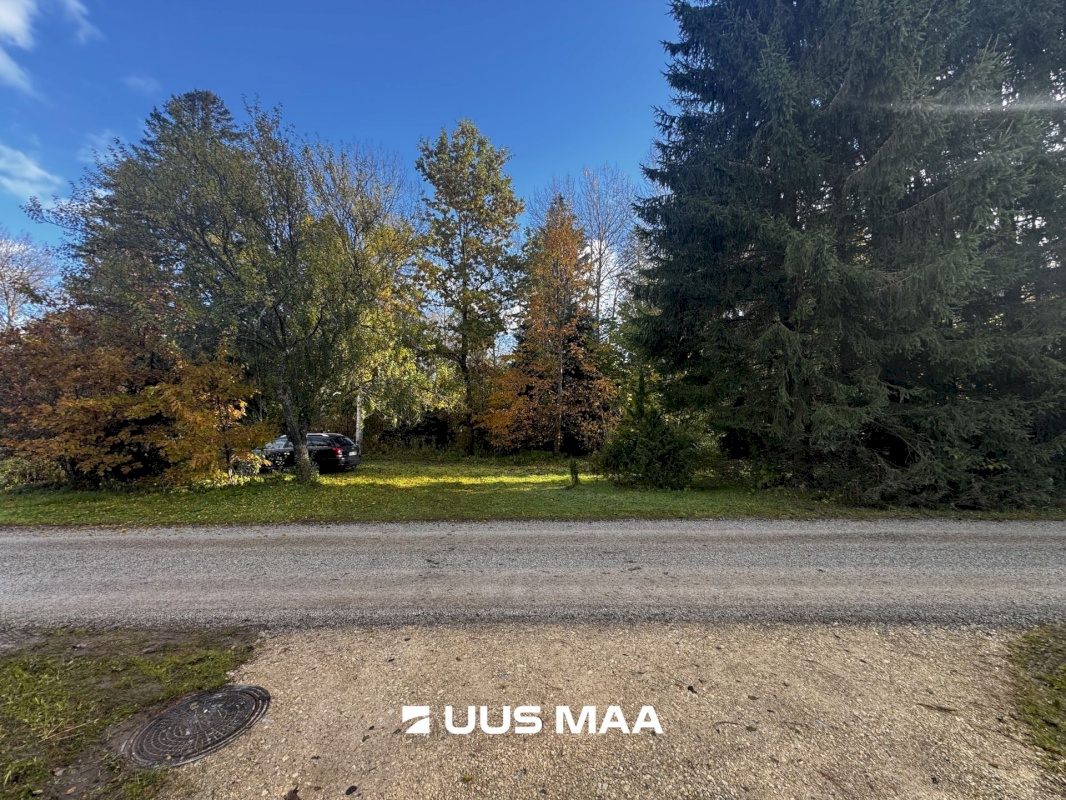 Rakvere vald, Päide küla, Metsa 8