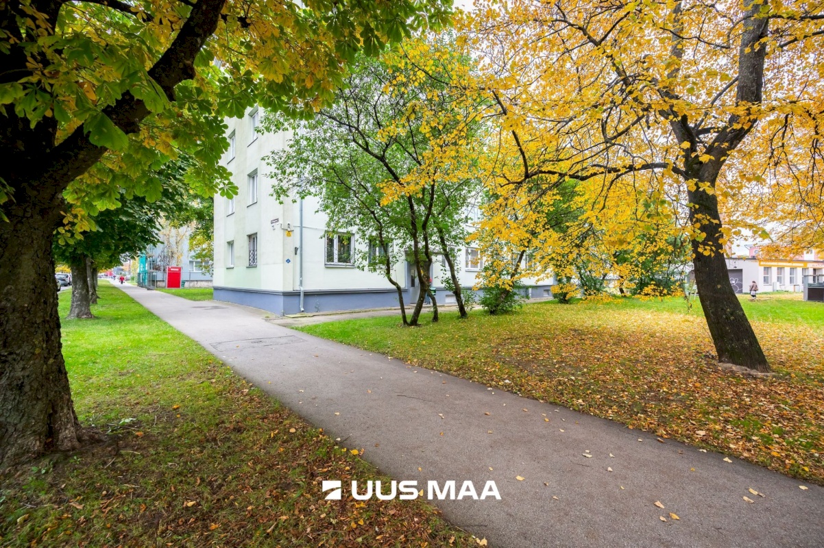 Tallinn, Põhja-Tallinna linnaosa, Pelguranna 7