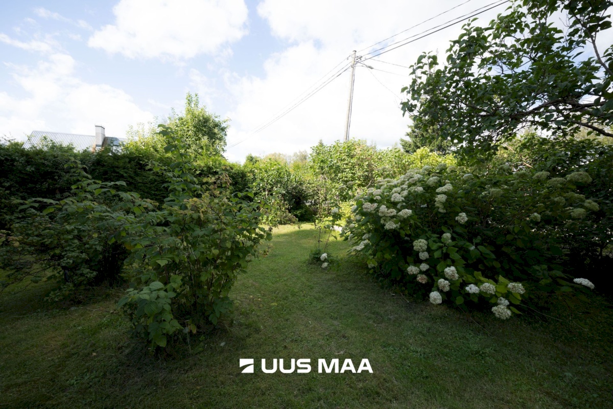 Saku vald, Metsanurme küla, Kuresoo tee 7