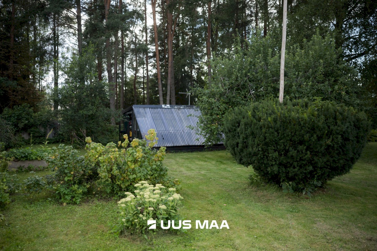 Saku vald, Metsanurme küla, Kuresoo tee 7