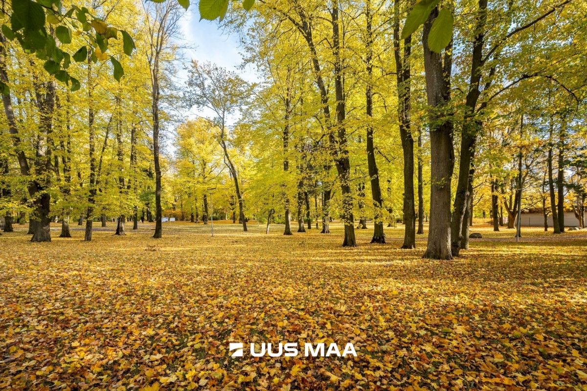 Tallinn, Põhja-Tallinna linnaosa, Kopli 69e