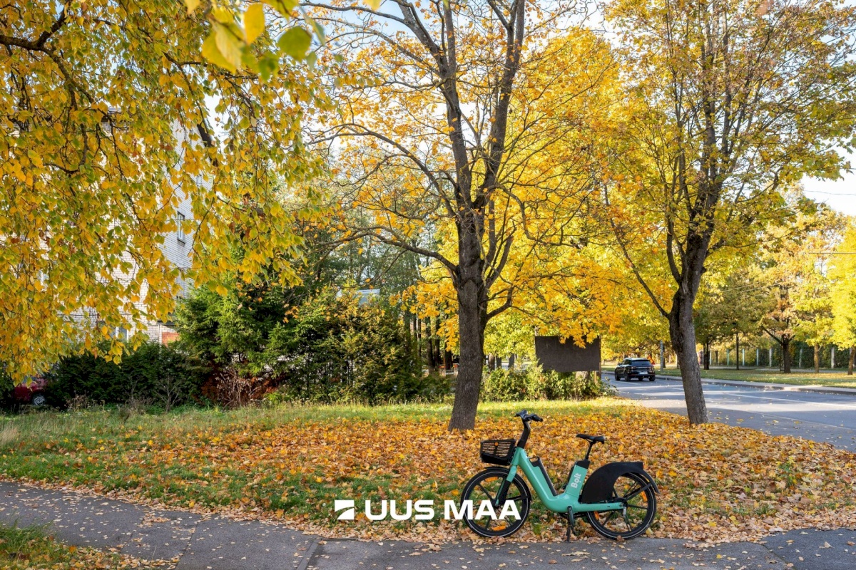 Tallinn, Põhja-Tallinna linnaosa, Kopli 69e