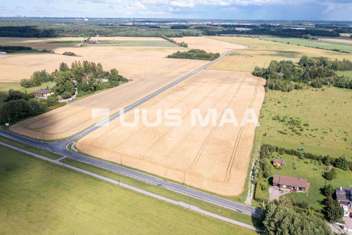 Saue vald, Vanamõisa küla, Suurevälja tee
