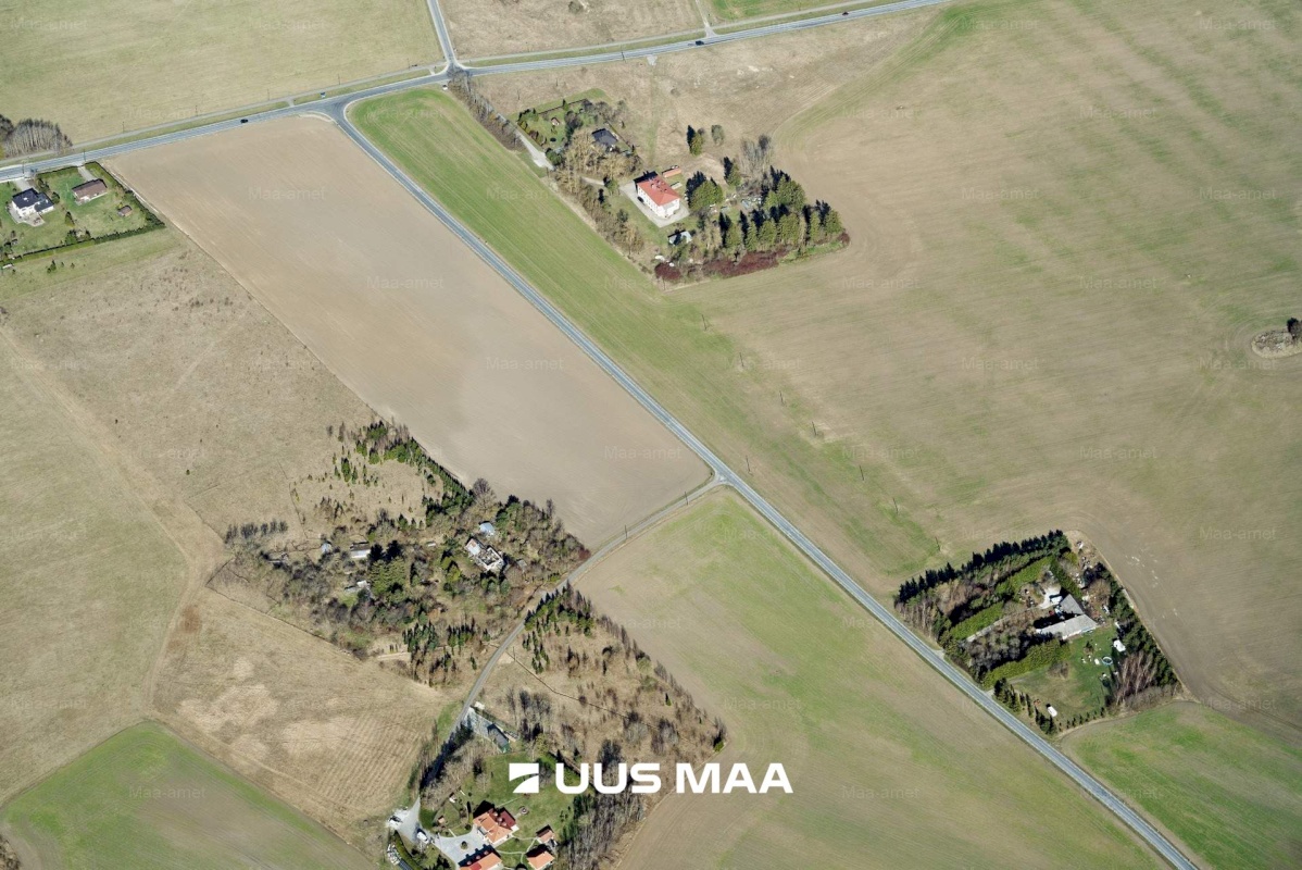 Saue vald, Vanamõisa küla, Suurevälja tee