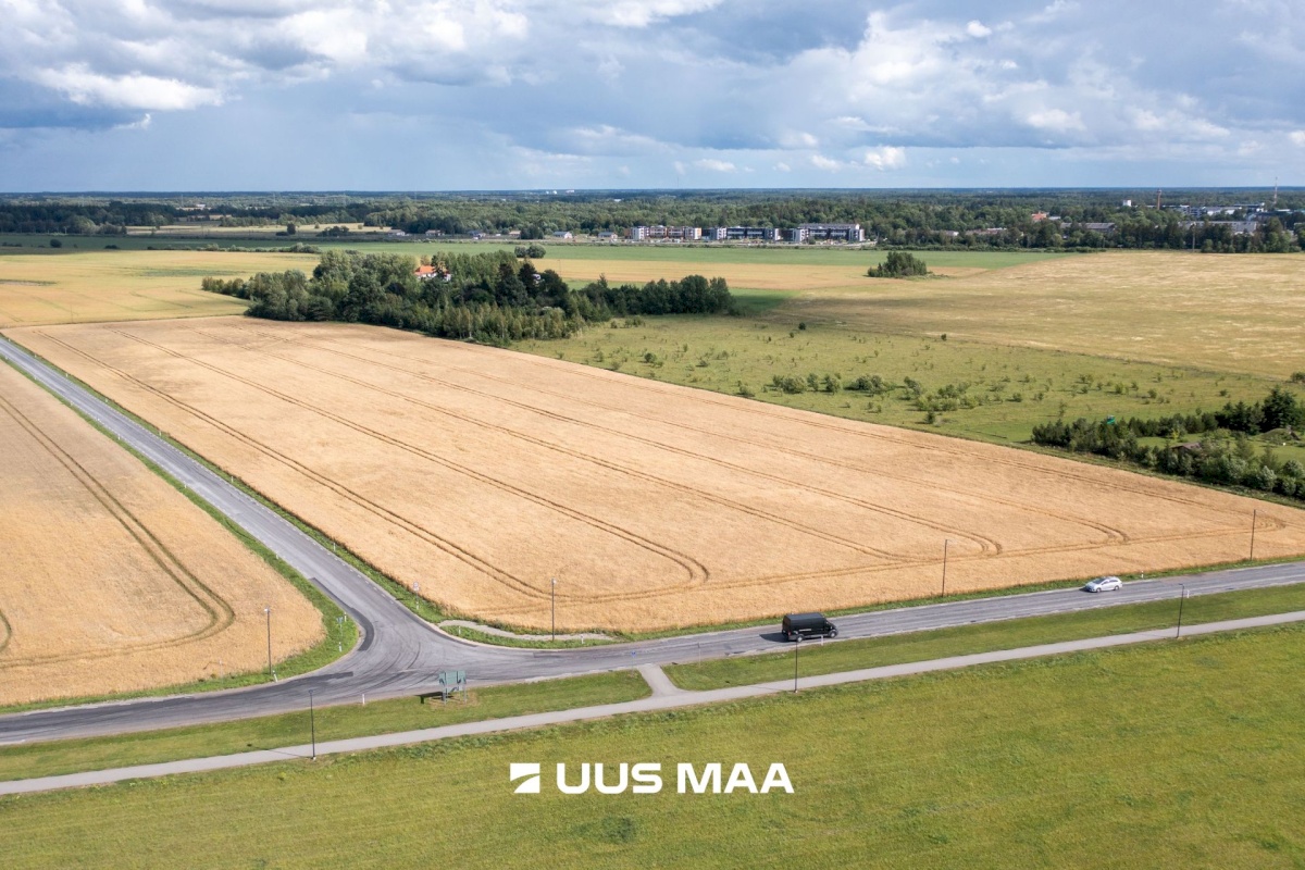 Saue vald, Vanamõisa küla, Suurevälja tee