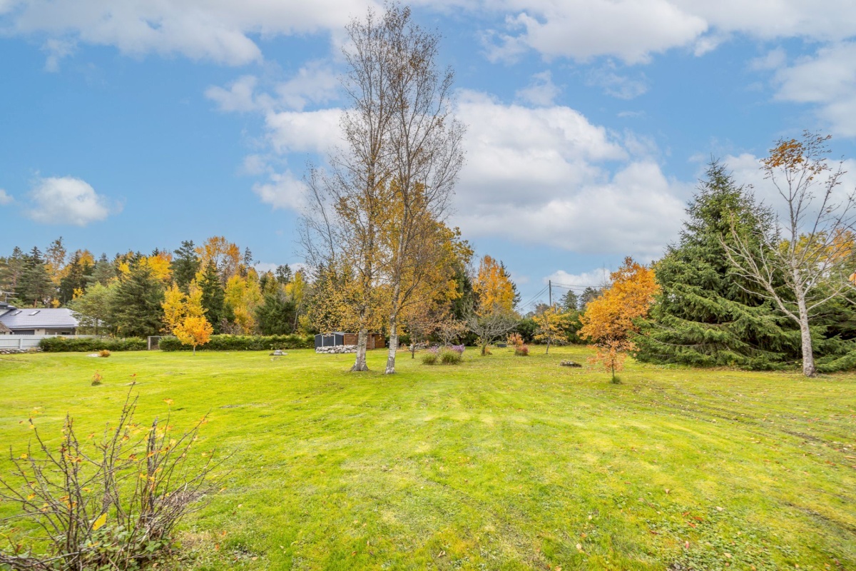 Viimsi vald, Tammneeme küla, Tammneeme tee 17