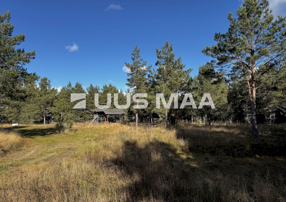 Alutaguse vald, Kauksi küla, Männivälja