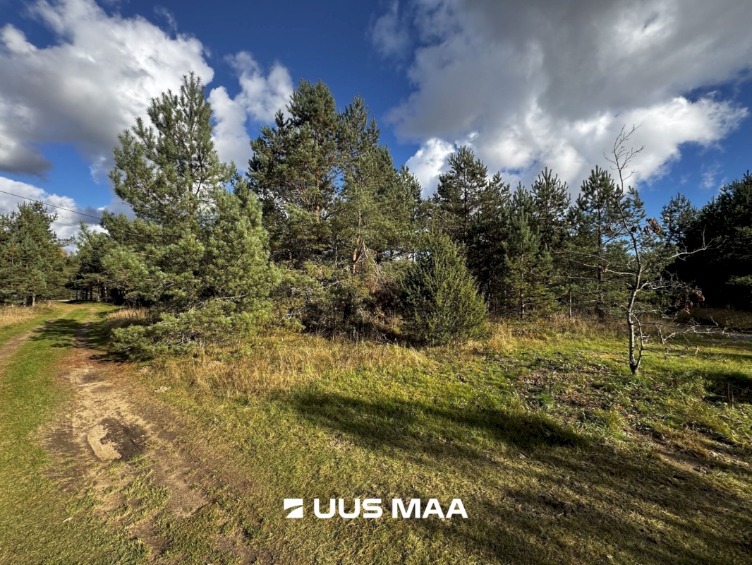 Alutaguse vald, Kauksi küla, Männivälja