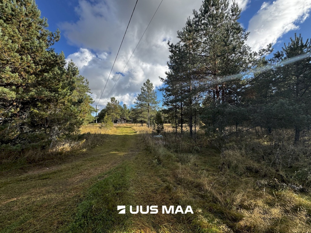 Alutaguse vald, Kauksi küla, Männivälja