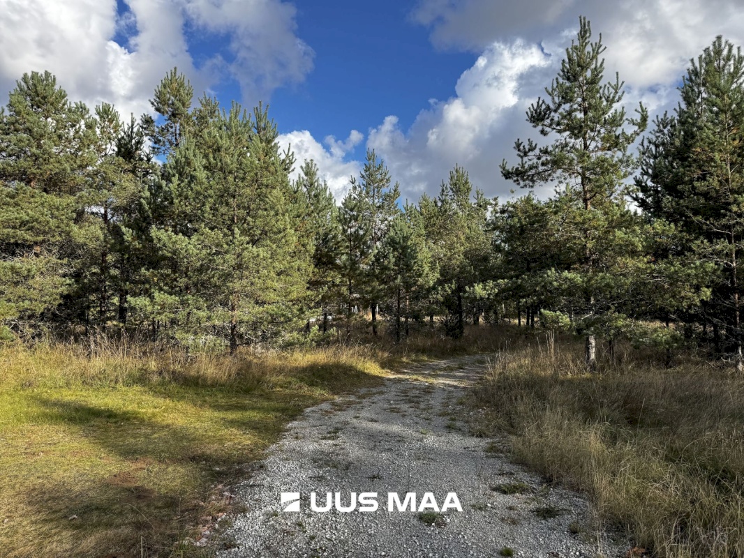 Alutaguse vald, Kauksi küla, Männivälja