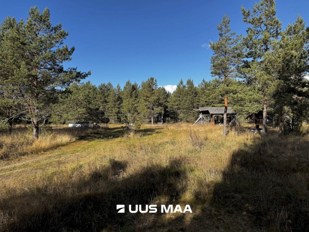 Alutaguse vald, Kauksi küla, Männivälja