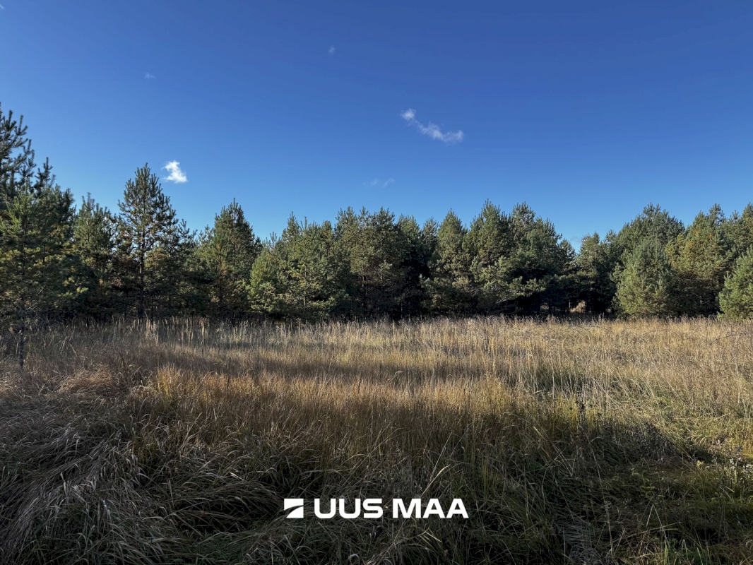 Alutaguse vald, Kauksi küla, Männivälja