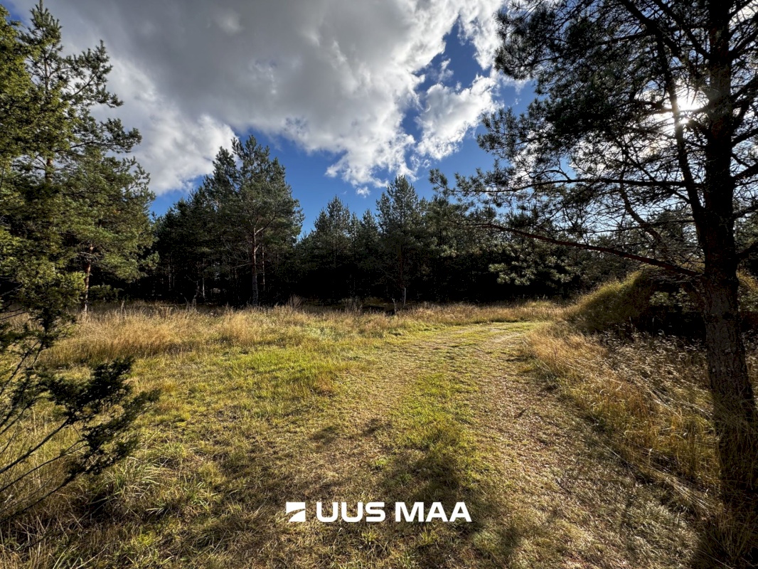 Alutaguse vald, Kauksi küla, Männivälja