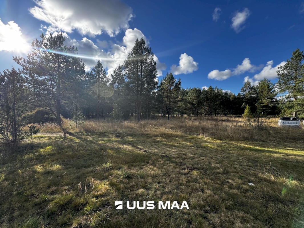 Alutaguse vald, Kauksi küla, Männivälja