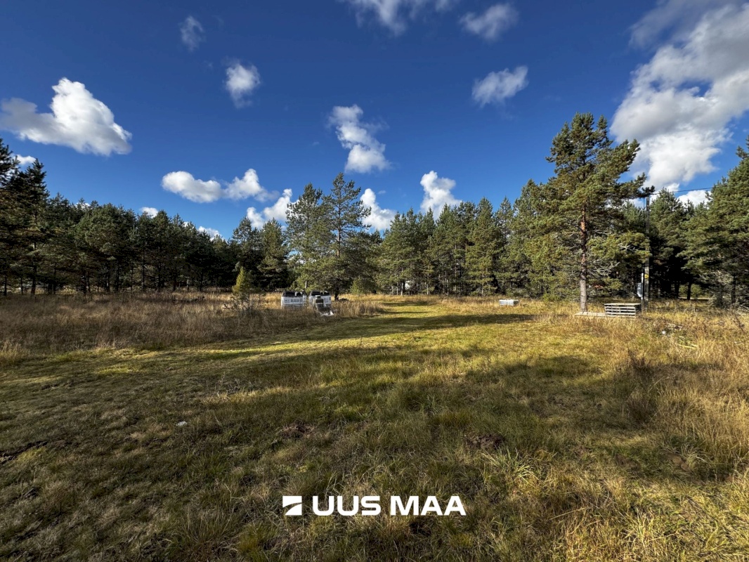 Alutaguse vald, Kauksi küla, Männivälja