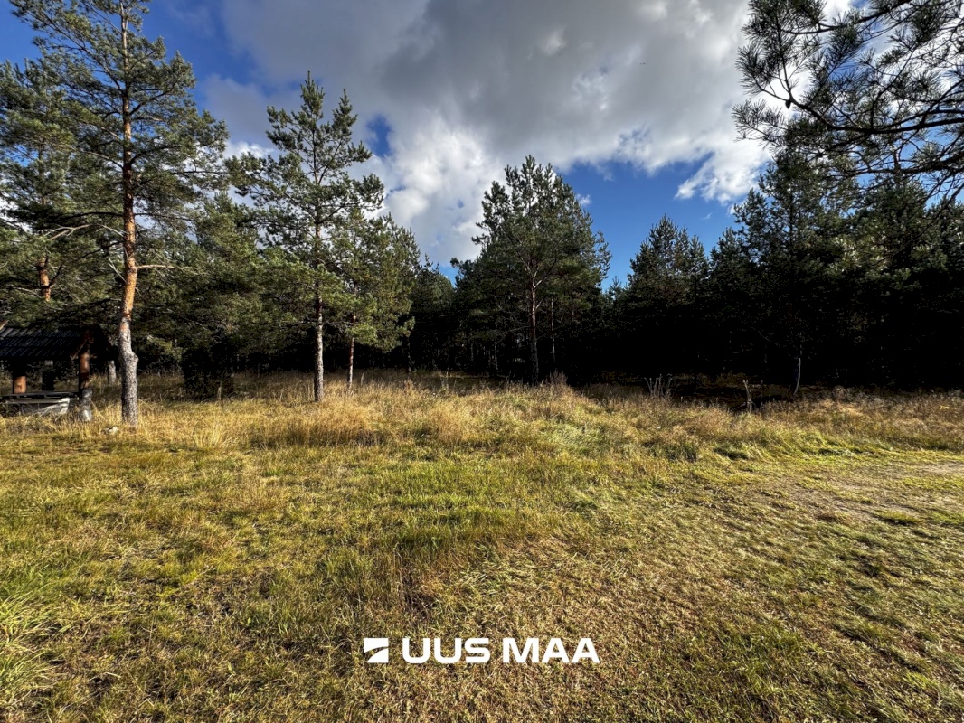 Alutaguse vald, Kauksi küla, Männivälja