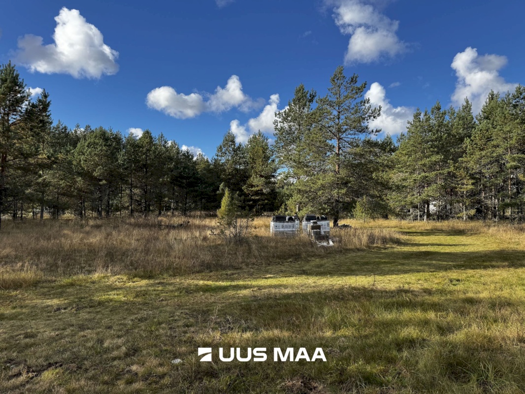 Alutaguse vald, Kauksi küla, Männivälja