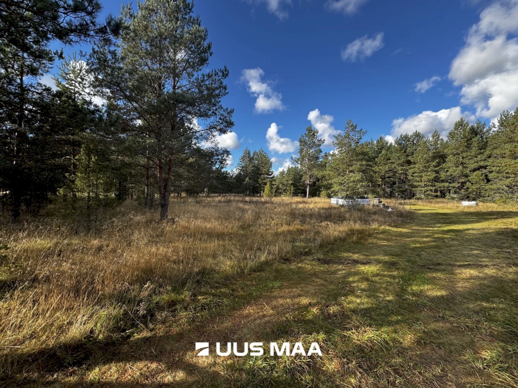 Alutaguse vald, Kauksi küla, Männivälja