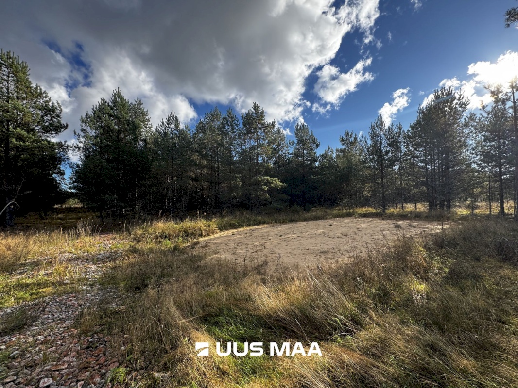 Alutaguse vald, Kauksi küla, Männivälja