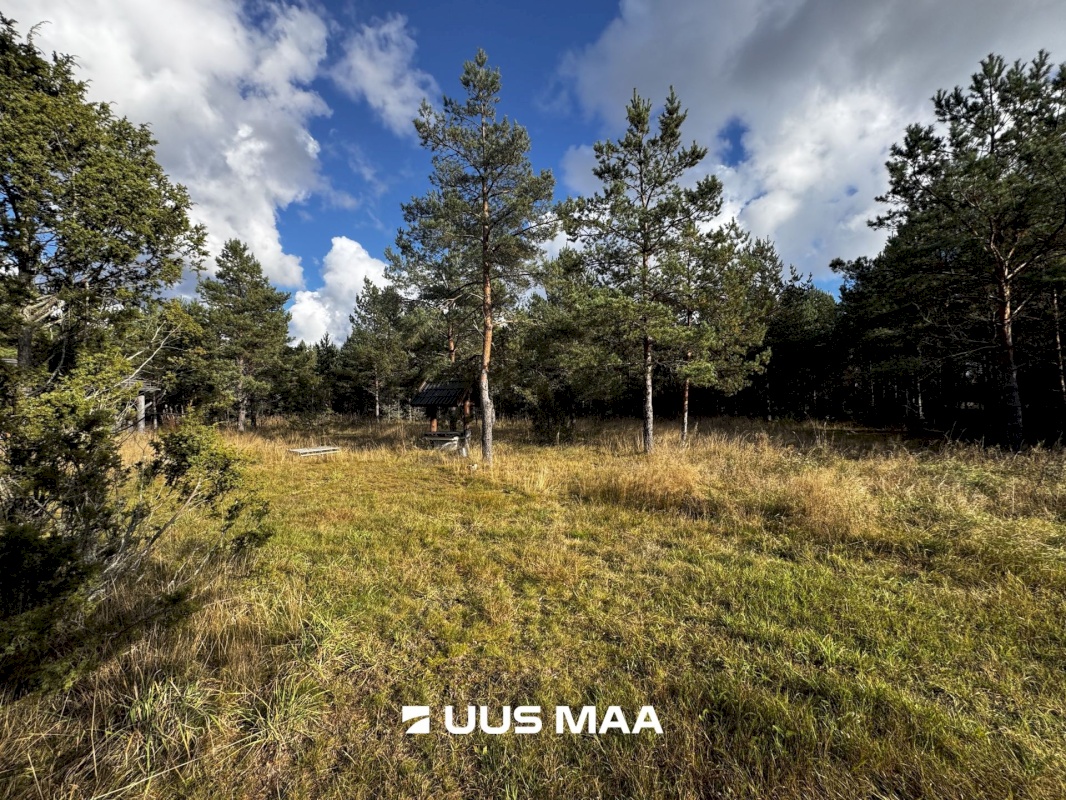 Alutaguse vald, Kauksi küla, Männivälja